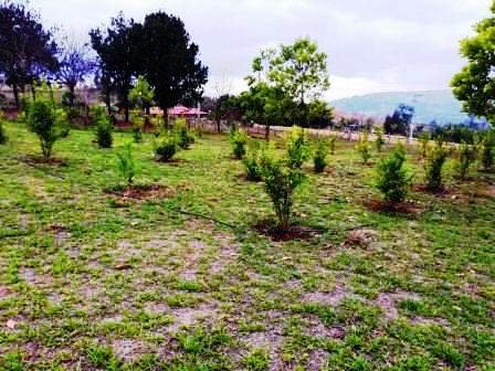 VENTA PARCELA SECTOR AEROPUERTO  PC230