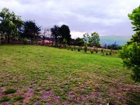 VENTA PARCELA SECTOR AEROPUERTO  PC230