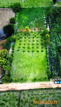 VENTA PARCELA SECTOR AEROPUERTO  PC230