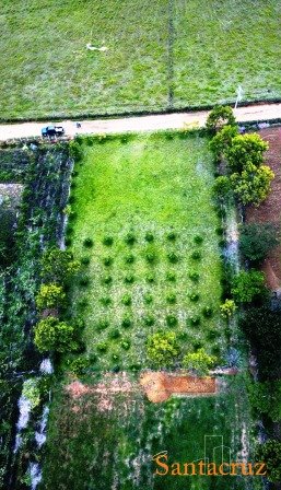 VENTA PARCELA SECTOR AEROPUERTO  PC230