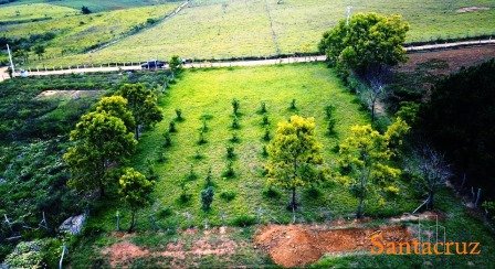 VENTA PARCELA SECTOR AEROPUERTO  PC230