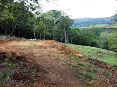 VÍA BARICHARA P401036