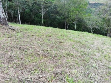 VÍA BARICHARA P401036