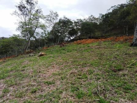 VÍA BARICHARA P401036