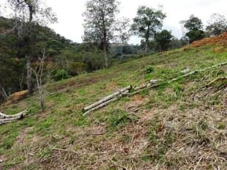 VÍA BARICHARA P401036