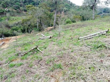 VÍA BARICHARA P401036