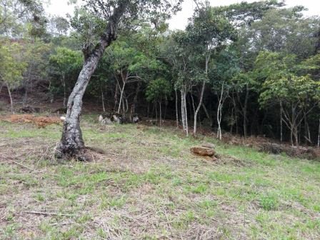 VÍA BARICHARA P401036