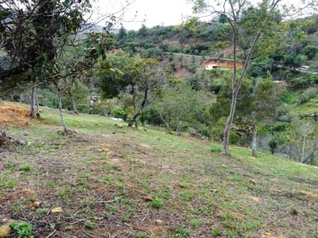 VÍA BARICHARA P401036