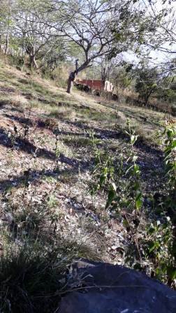 PARCELA 2.000M2 PC391037