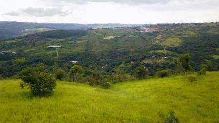 PARCELA 1 HA 4.942 PC541059