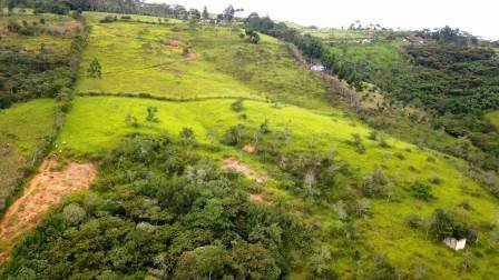 PARCELA 1 HA 4.942 PC541059