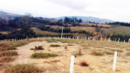 PARCELA 2.500M2 COJ ALTOS DE LA PRADERA PC561061