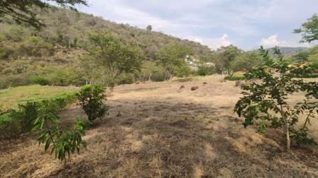 PARCELAS DESDE 1.200M2  PC581081