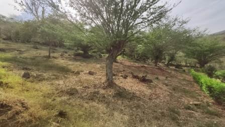 PARCELAS DESDE 1.200M2  PC581081