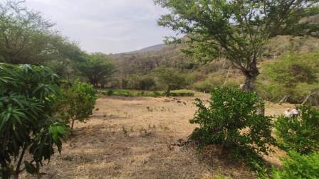 PARCELAS DESDE 1.200M2  PC581081