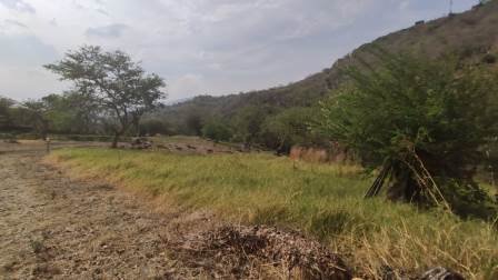 PARCELAS DESDE 1.200M2  PC581081