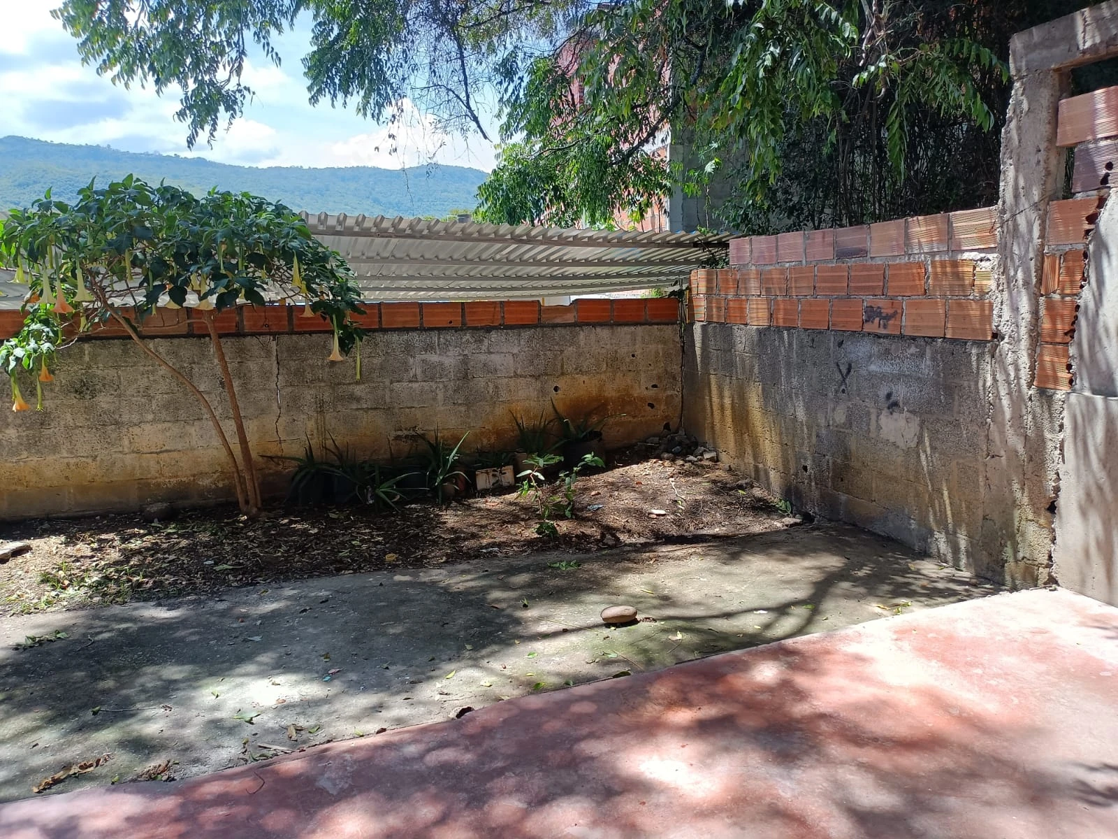 ARRIENDO CASA EN COOVIP 26471109