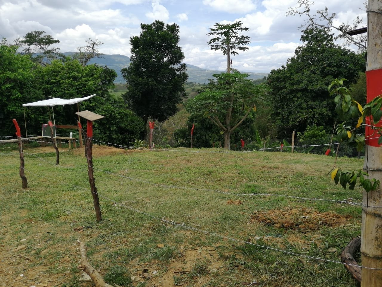 VENTA LOTE PARAMO LP121152