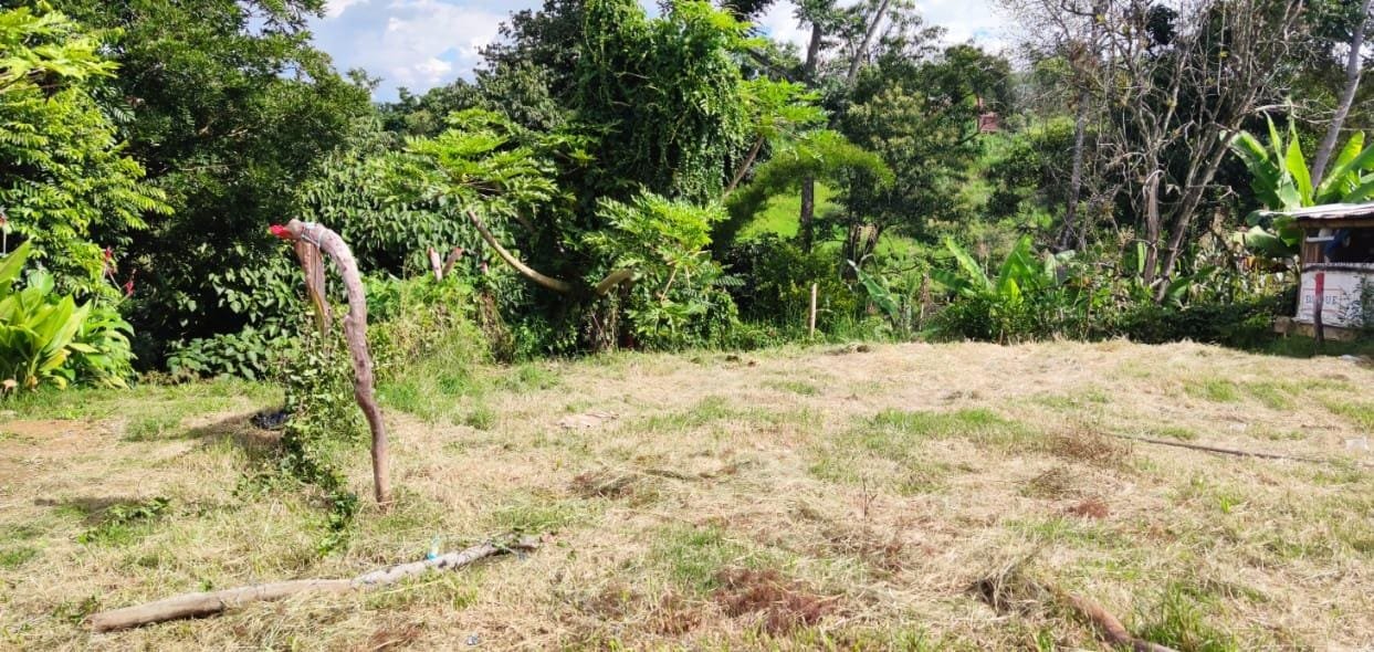 VENTA LOTE PARAMO LP121152