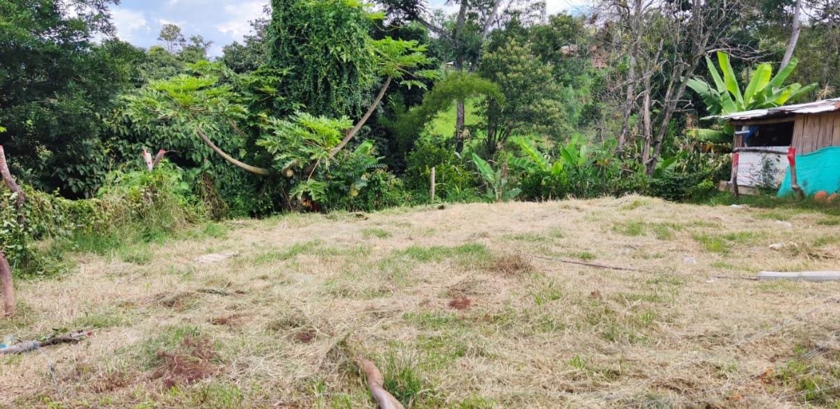 VENTA LOTE PARAMO LP121152