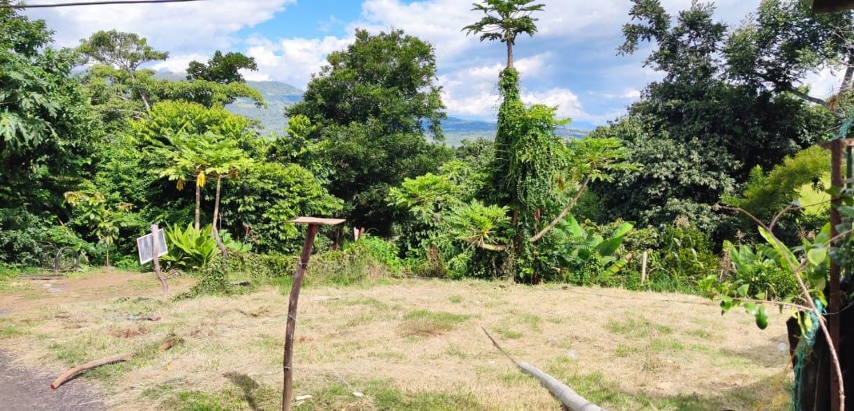 VENTA LOTE PARAMO LP121152