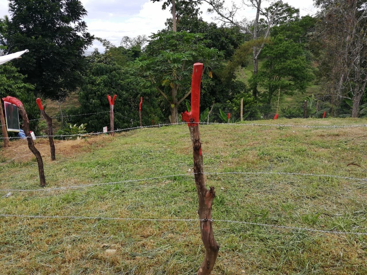 VENTA LOTE PARAMO LP121152