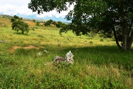 PARCELA 2 HECTAREAS LT271259