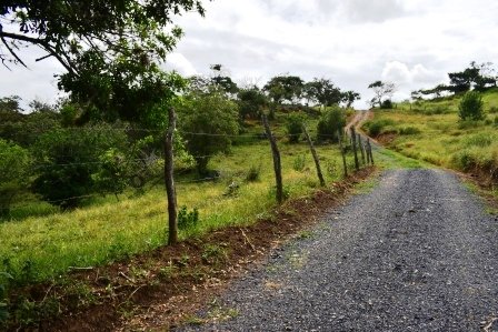 PARCELA 2 HECTAREAS LT271259