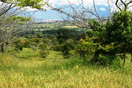 PARCELA 2 HECTAREAS LT271259