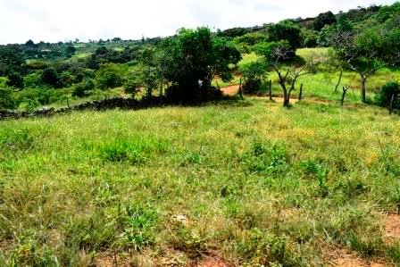 PARCELA 2 HECTAREAS LT271259