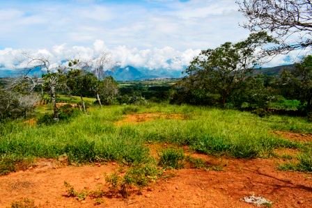 PARCELA 2 HECTAREAS LT271259