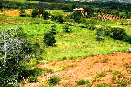 PARCELA 2 HECTAREAS LT271259