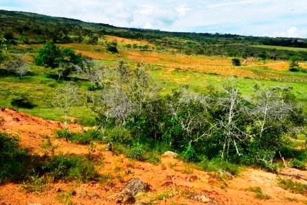 PARCELA 2 HECTAREAS LT271259