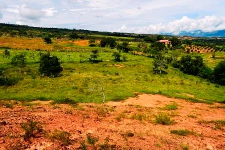 PARCELA 2 HECTAREAS LT271259