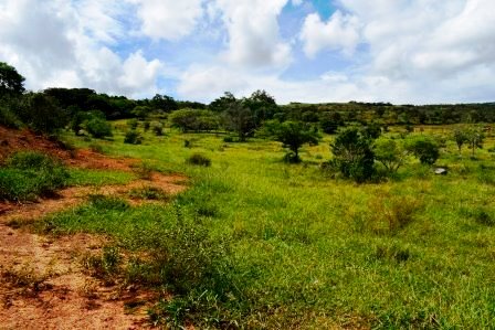 PARCELA 2 HECTAREAS LT271259