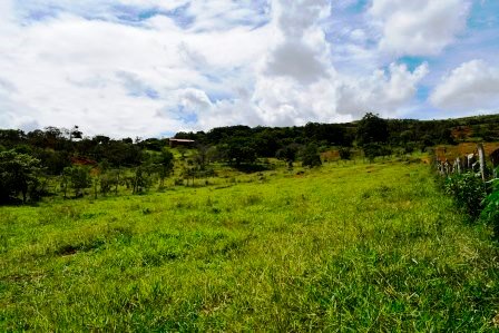 PARCELA 2 HECTAREAS LT271259