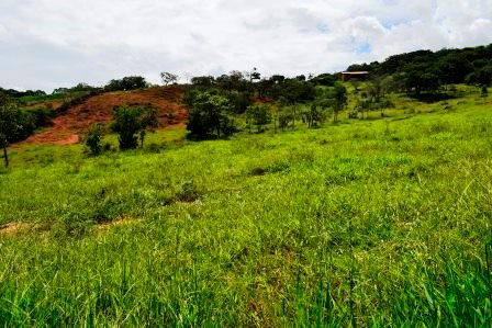 PARCELA 2 HECTAREAS LT271259