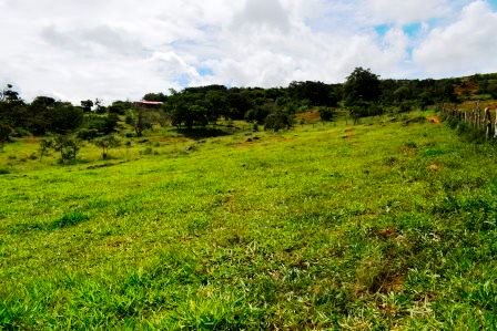 PARCELA 2 HECTAREAS LT271259