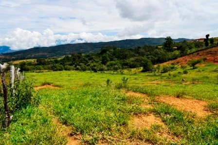 PARCELA 2 HECTAREAS LT271259