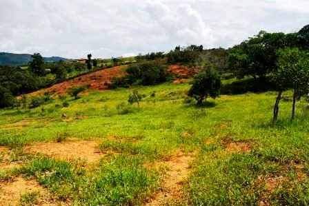 PARCELA 2 HECTAREAS LT271259