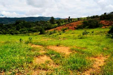 PARCELA 2 HECTAREAS LT271259