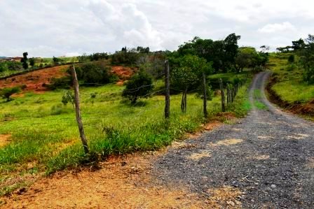 PARCELA 2 HECTAREAS LT271259