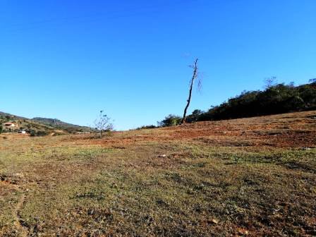 PARCELA VIA BARICHARA-VILLANUEVA PCV21271