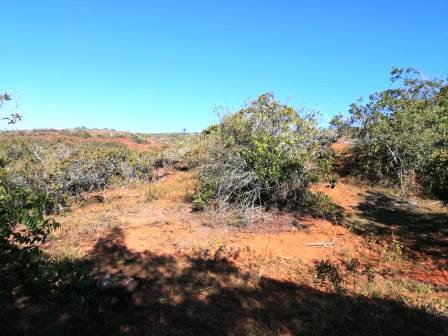 PARCELA VIA BARICHARA-VILLANUEVA PCV21271