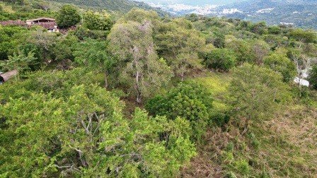 VENDO PARCELA 2.217M2 SAN GIL PC831291