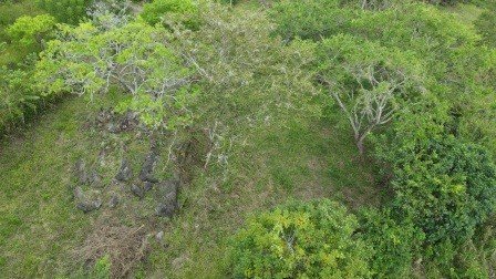 VENDO PARCELA 2.217M2 SAN GIL PC831291