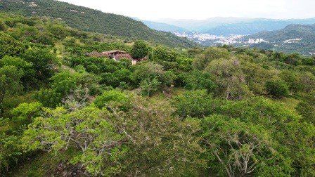 VENDO PARCELA 2.217M2 SAN GIL PC831291