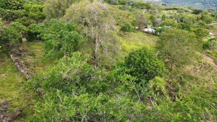 VENDO PARCELA 2.217M2 SAN GIL PC831291