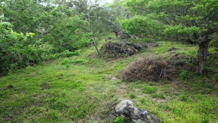 VENDO PARCELA 2.217M2 SAN GIL PC831291