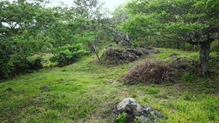 VENDO PARCELA 2.217M2 SAN GIL PC831291